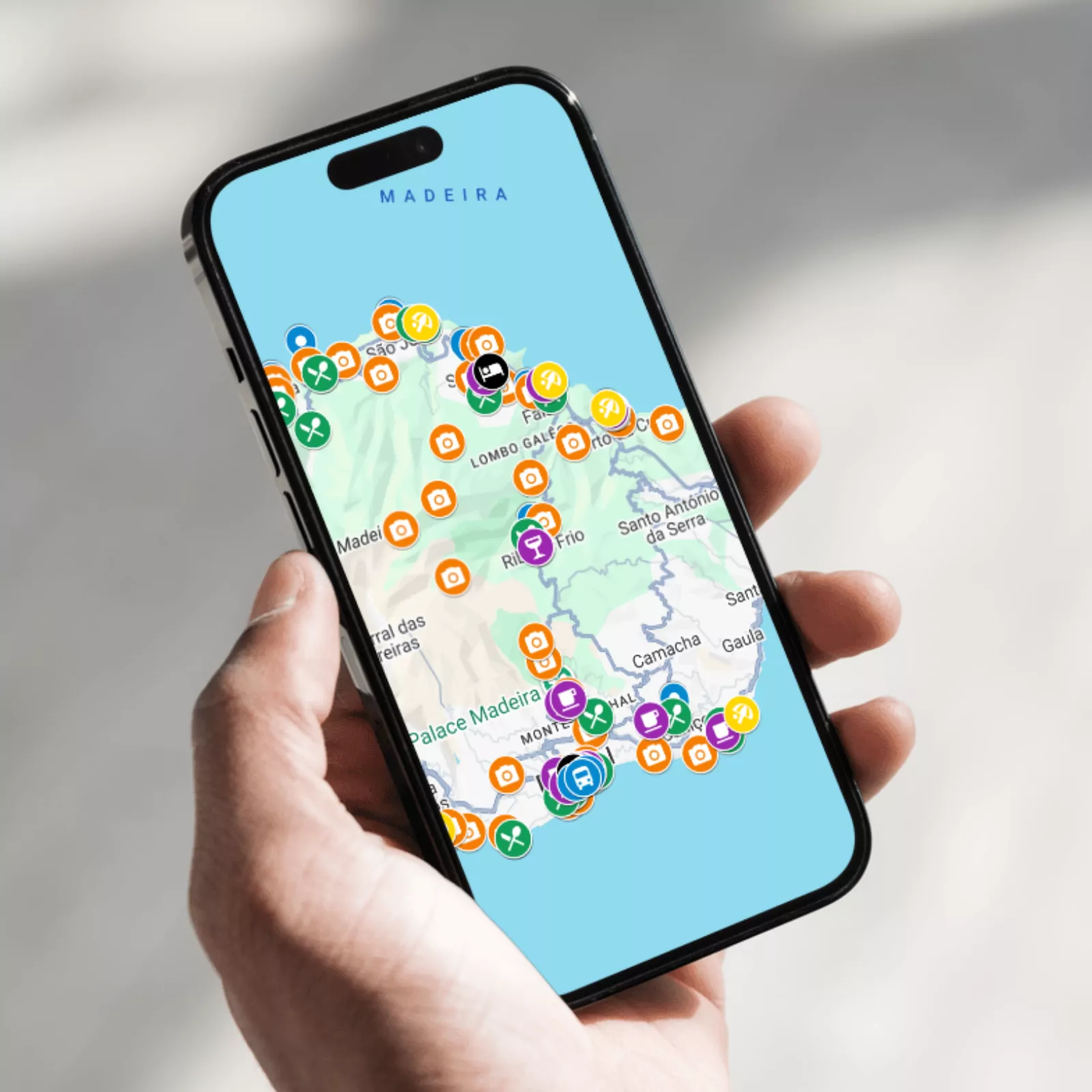 MADERA: poznaj 200+ atrakcji, plaż, restauracji i noclegów - obrazek 4